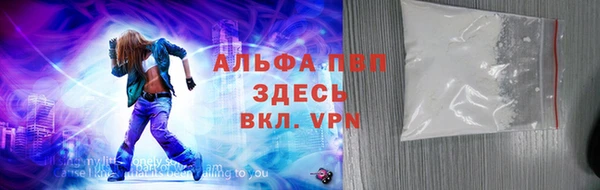 винт Лагань