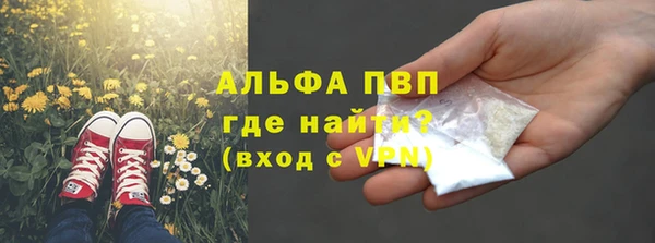 винт Лагань