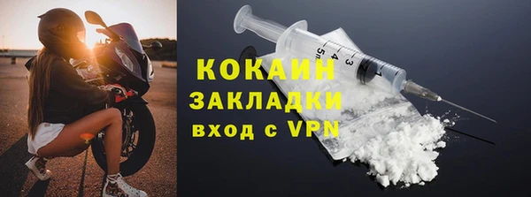 винт Лагань