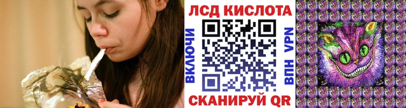shop телеграм  Лодейное Поле  Наркотические марки 1,5мг  как найти закладки 