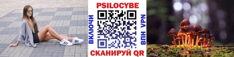 Псилоцибиновые грибы GOLDEN TEACHER  Лодейное Поле 
